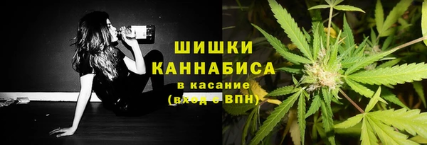гидропоника Анжеро-Судженск