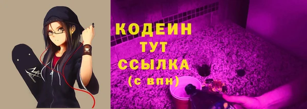 гидропоника Анжеро-Судженск