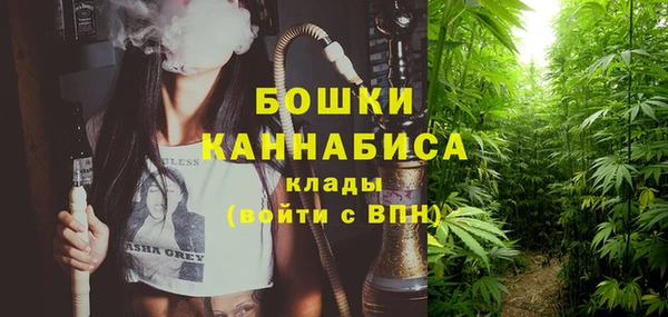 ECSTASY Анива